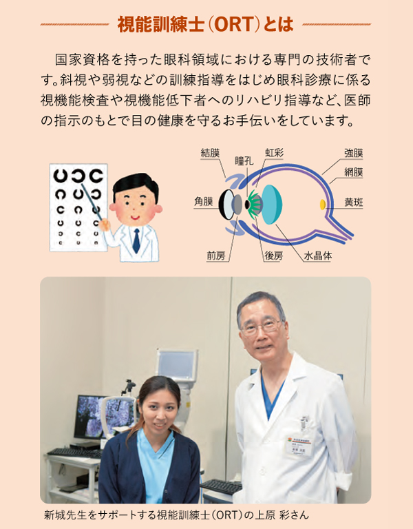 視能訓練士とは